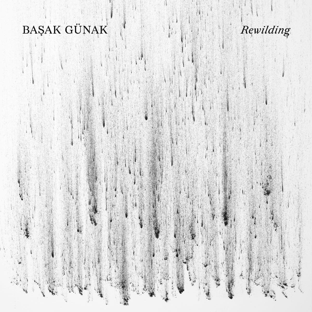 Başak Günak's 'Rewilding': Nature Whispers in Electronic Tones