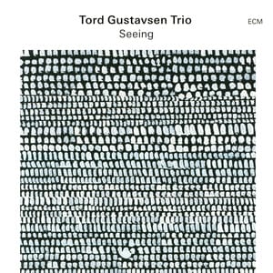 Tord Gustavsen Trio's 'Seeing': A Study in Restraint